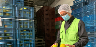 SE SOLICITA EMPACADORES PARA ENVASADO DE ALIMENTOS, NO SE REQUIERE EXPERIENCIA