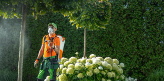 SE NECESITA JARDINERO DE TIEMPO PARCIAL PARA LABORES DE MANTENIMIENTO