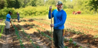 SE NECESITA PEONES AGRÍCOLAS CON O SIN EXPERIENCIA PARA PODA Y MANTENIMIENTO DE FINCA