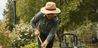 SE NECESITA AUXILIAR DE JARDINERÍA DE TIEMPO COMPLETO PARA MANTENIMIENTO DE ÁREAS VERDES