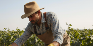 SE BUSCA PEÓN AGRÍCOLA HOMBRE Y/O MUJER PARA MANTENIMIENTO, CUIDADO Y CONTROL DE PRODUCTOS EN COSECHA