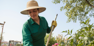 SE NECESITA AUXILIAR DE JARDINERÍA PARA LABORES DE MANTENIMIENTO Y PODA DE ÁREAS VERDES