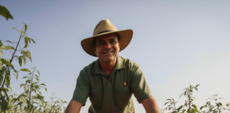 SE SOLICITA TRABAJADOR DE FINCA PARA CONTROL DE PRODUCTOS EN COSECHA DE TOMATES