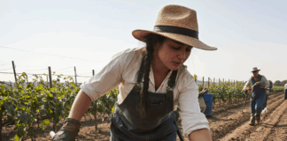 SE SOLICITA TRABAJADOR AGRÍCOLA CON O SIN EXPERIENCIA PARA CLASIFICACIÓN DE PRODUCTOS EN COSECHA DE VEGETALES
