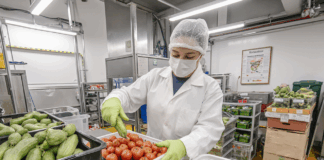 SE BUSCA EMPACADOR PARA CLASIFICACIÓN Y EMBALAJE DE PRODUCTOS AGRÍCOLAS