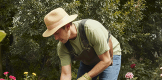 SE SOLICITA JARDINERO PARA MANTENIMIENTO Y PODA DE ÁREAS VERDES (LUNES A VIERNES)