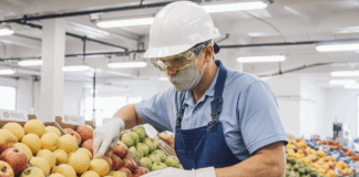 SE SOLICITA ENVASADOR DE FRUTAS Y HORTALIZAS CON O SIN EXPERIENCIA (TURNO DE TARDE)