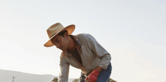 SE NECESITA PEÓN/A AGRÍCOLA PARA LABORES DE RECOLECCIÓN EN FINCA (JORNADA COMPLETA)