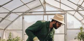 SE SOLICITAN PEONES AGRÍCOLAS PARA VIVERO: RIEGO, PREPARACIÓN DE PEDIDOS Y MANTENIMIENTO