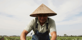 SE SOLICITA TRABAJADOR AGRÍCOLA PARA COSECHA Y EMPAQUE DE VERDURAS EN JORNADA COMPLETA