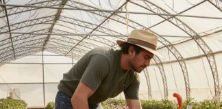 SE REQUIERE TRABAJADOR AGRÍCOLA PARA VIVERO DE PLANTAS ORNAMENTALES (CON O SIN EXPERIENCIA)