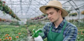 SE NECESITA TRABAJADOR DE INVERNADERO CON O SIN EXPERIENCIA PARA CUIDADO Y MANTENIMIENTO DE PLANTAS