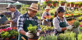 SE BUSCAN PEONES AGRÍCOLAS PARA VIVERO DE PLANTAS ORNAMENTALES Y AROMÁTICAS