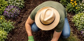 SE BUSCA AUXILIAR DE JARDINERÍA PARA COLABORACIÓN EN SIEGA Y DESBROCE DE ZONAS VERDES