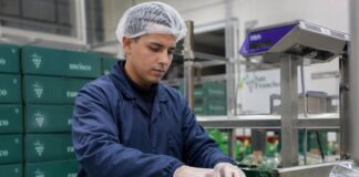 SE REQUIERE ENVASADOR/A PARA MANIPULACIÓN Y ETIQUETADO DE FRUTA EN LÍNEA DE PRODUCCIÓN