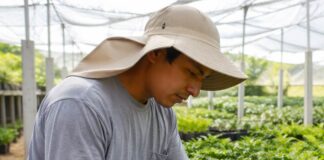 SE SOLICITA PEÓN AGRÍCOLA PARA LABORES DE MANTENIMIENTO GENERAL EN VIVERO DE PLANTAS