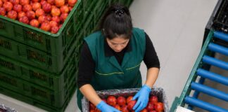 SE SOLICITA MOZO/A DE ALMACÉN PARA CARGA, DESCARGA Y GESTIÓN DE FRUTA