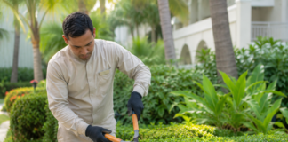 SE NECESITA PERSONAL DE MANTENIMIENTO PARA PODA DE JARDINES (MEDIA JORNADA)
