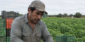 SE REQUIERE TRABAJADOR AGRÍCOLA PARA COSECHA Y CLASIFICACIÓN DE FRUTAS Y VERDURAS EN FINCA