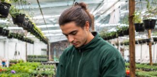 SE REQUIERE TRABAJADOR DE INVERNADERO PARA CUIDADO DE PLANTAS Y ORGANIZACIÓN DE DISTINTAS ÁREAS