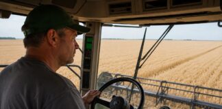 SE REQUIERE TRABAJADOR AGRÍCOLA PARA MANEJO DE MAQUINARIA EN COSECHA DE CEREALES