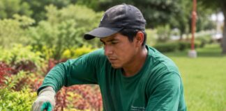 SE NECESITA AUXILIAR DE JARDINERÍA PARA MANTENIMIENTO Y CUIDADO DE ÁREAS VERDES (LUNES A VIERNES)