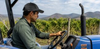 SE SOLICITA CONDUCTOR DE TRACTOR AGRÍCOLA PARA LABORES GENERALES EN VIÑEDO (JORNADA PARCIAL)