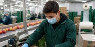 SE SOLICITA EMPACADOR DE MANZANAS PARA CLASIFICACIÓN Y ENVASADO DE PRODUCTOS EN CAJAS