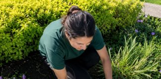 SE SOLICITA JARDINERO/A PARA MANTENIMIENTO Y CUIDADO DE ÁREAS VERDES (TIEMPO COMPLETO)