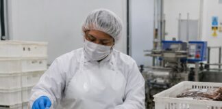 SE BUSCA OPERARIO/A DE ENVASADO PARA MANIPULACIÓN Y CLASIFICACIÓN DE PRODUCTOS ALIMENTARIOS