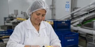 SE REQUIEREN PELADORES DE FRUTAS PARA PLANTA DE PROCESAMIENTO (TURNO DIURNO)