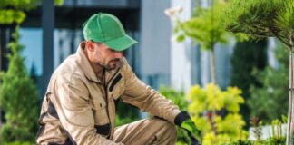 SE SOLICITA PERSONAL DE MANTENIMIENTO DE JARDINES Y ÁREAS VERDES (TEMPORADA DE VERANO)