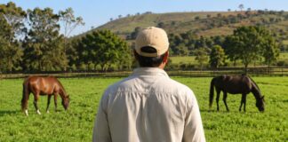 SE SOLICITA TRABAJADOR DE RANCHO PARA CUIDADO DE CABALLOS DURANTE LA TEMPORADA DE VERANO