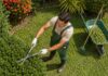 SE NECESITA JARDINERO PARA MANTENIMIENTO DE ESPACIOS VERDES Y CUIDADO DE PLANTAS EN FINCA