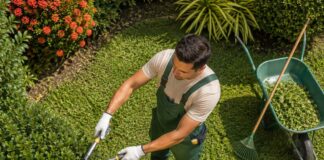 SE NECESITA JARDINERO PARA MANTENIMIENTO DE ESPACIOS VERDES Y CUIDADO DE PLANTAS EN FINCA