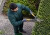 SE NECESITA JARDINERO PARA TAREAS GENERALES DE PODA Y MANTENIMIENTO DE ÁREAS VERDES