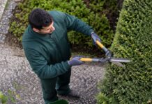 SE NECESITA JARDINERO PARA TAREAS GENERALES DE PODA Y MANTENIMIENTO DE ÁREAS VERDES
