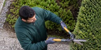 SE NECESITA JARDINERO PARA TAREAS GENERALES DE PODA Y MANTENIMIENTO DE ÁREAS VERDES