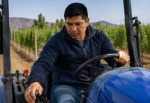 SE BUSCA OPERADOR DE TRACTOR PARA LABORES AGRÍCOLAS EN VIÑEDO (JORNADA COMPLETA)