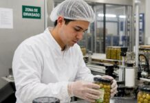 SE REQUIERE OPERARIO/A DE ENVASADO PARA PREPARACIÓN Y ETIQUETADO DE ACEITUNAS