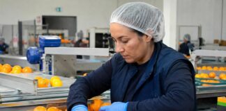 SE SOLICITA OPERARIO DE PRODUCCIÓN PARA ENCAJADO Y PREPARACIÓN DE CÍTRICOS (TURNO ROTATIVO)