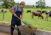 SE BUSCA TRABAJADOR DE GRANJA PARA CUIDADO, ALIMENTACIÓN Y MANEJO DE GANADO