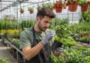 SE NECESITA TRABAJADOR DE INVERNADERO PARA INSPECCIÓN Y MANTENIMIENTO DE PLANTAS (TIEMPO COMPLETO)