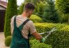 SE NECESITA TRABAJADOR DE MANTENIMIENTO DE JARDINES PARA TRABAJOS DE PAISAJISMO, NO SE REQUIERE EXPERIENCIA