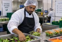 SE NECESITA AUXILIAR DE PRODUCCIÓN DE ALIMENTOS PARA PREPARACIÓN Y ENVASADO DE VEGETALES