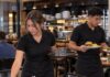 SE NECESITAN AUXILIARES DE RESTAURANTE PARA LABORES GENERALES EN JORNADA DE TIEMPO COMPLETO