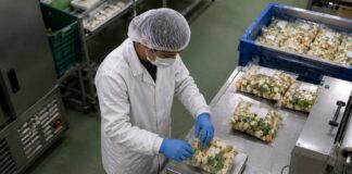 SE REQUIERE EMPACADOR DE ALIMENTOS PARA CONTROL DE CALIDAD Y PREPARACIÓN DE PRODUCTOS
