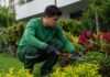 SE REQUIERE JARDINERO PARA RIEGO, PODA Y MANTENIMIENTO DE ARBUSTOS Y ÁREAS VERDES (TIEMPO COMPLETO)