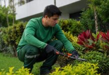 SE REQUIERE JARDINERO PARA RIEGO, PODA Y MANTENIMIENTO DE ARBUSTOS Y ÁREAS VERDES (TIEMPO COMPLETO)
