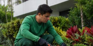 SE REQUIERE JARDINERO PARA RIEGO, PODA Y MANTENIMIENTO DE ARBUSTOS Y ÁREAS VERDES (TIEMPO COMPLETO)